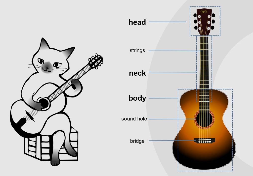 吉他的結(jié)構(gòu)