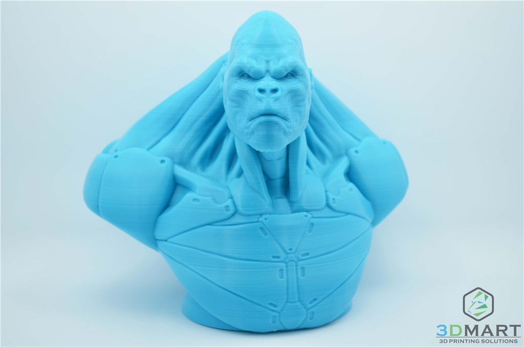 Ultimaker 3D列印機 Esun PLA+材料 Poachers Cortex 正面