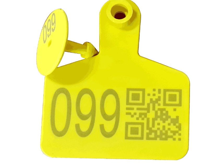 Wisely MOPA Fiber Laser Sample 