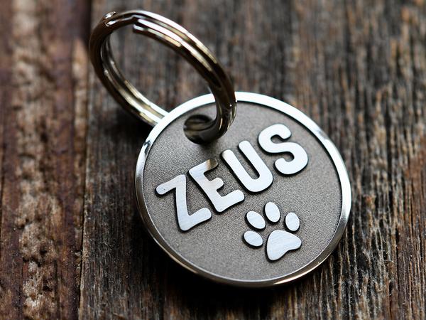 Wisely MOPA Fiber Laser Sample 