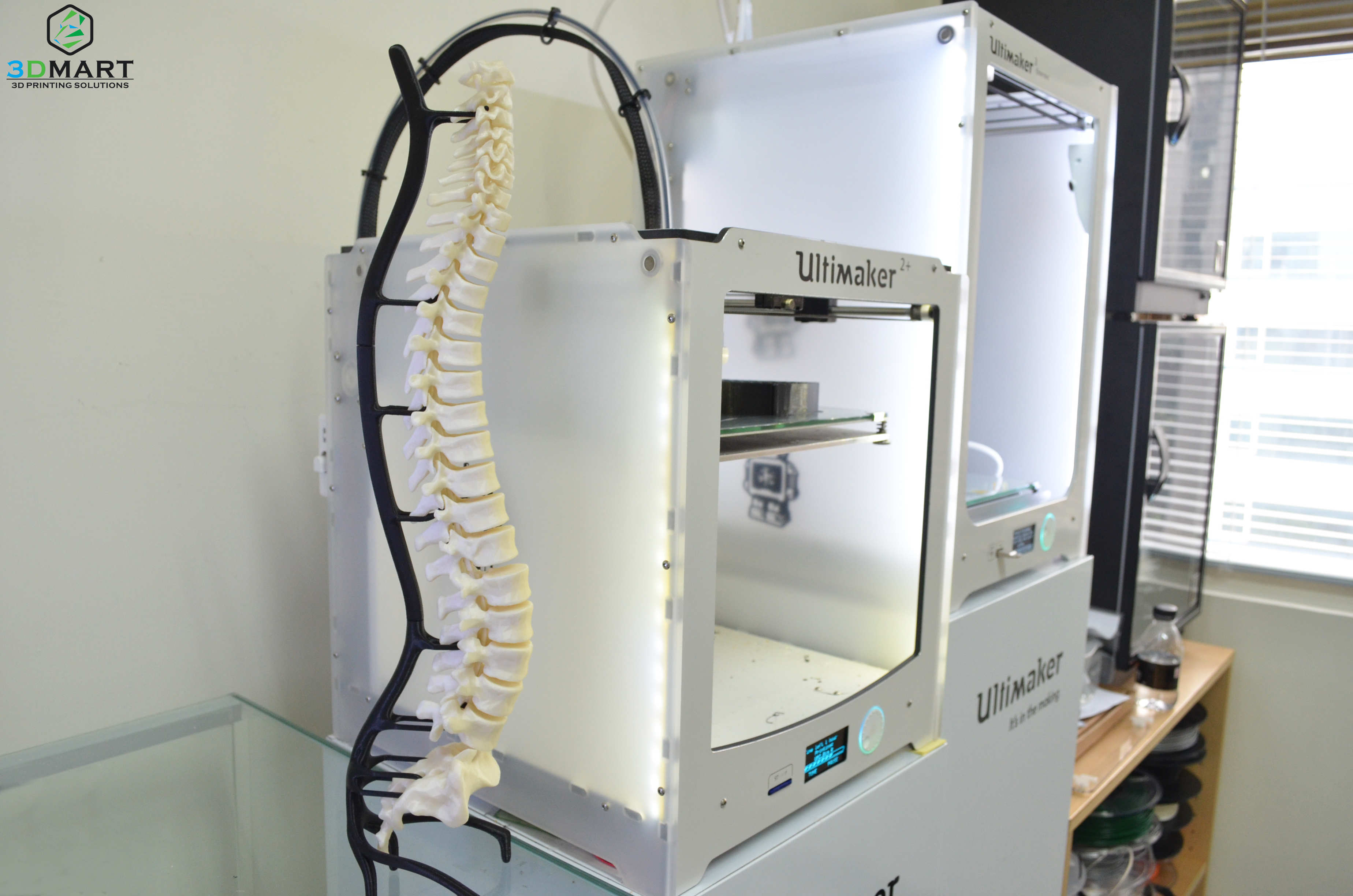 Ultimaker 3列印脊椎骨 Ultimaker 3 print human spine